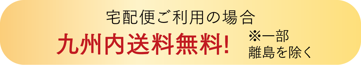 九州内送料無料